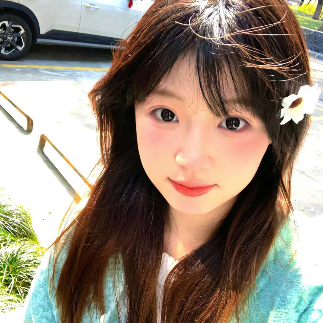 月上海在线观看封面